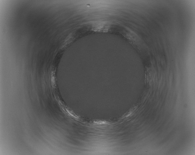 X0000068261154200604241224