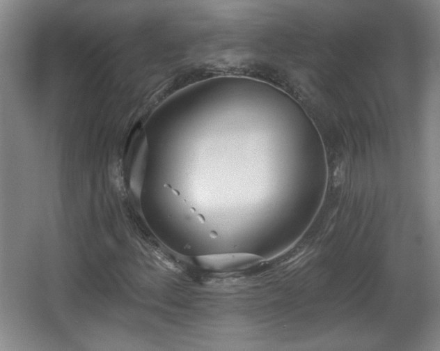 X0000068261156200604241224