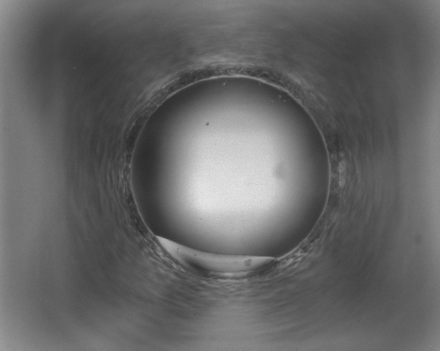 X0000068261157200604241224