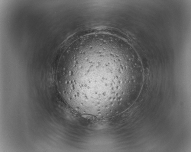 X0000068261158200604241224