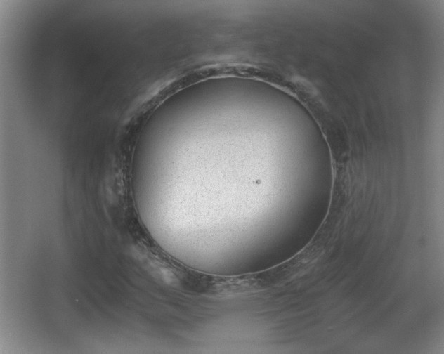 X0000068261159200604241224