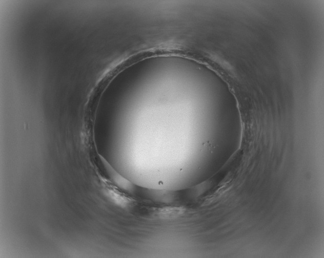 X0000068261160200604241224