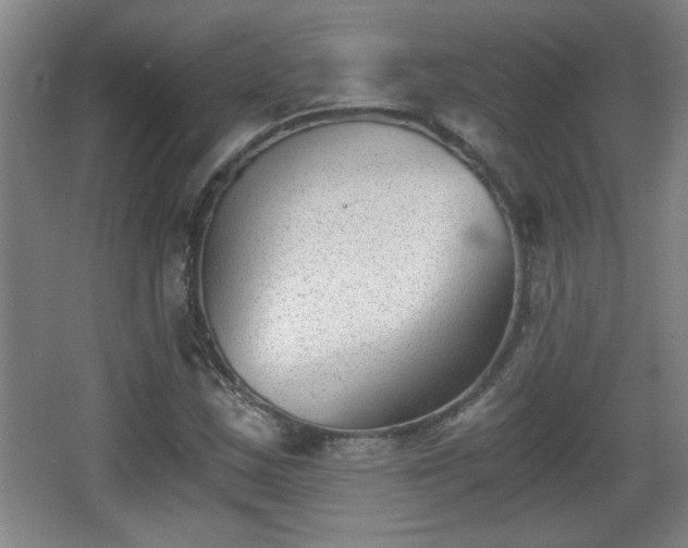 X0000068261163200604241224