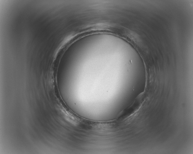 X0000068261164200604241224