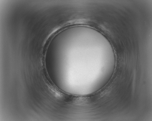 X0000068261166200604241224