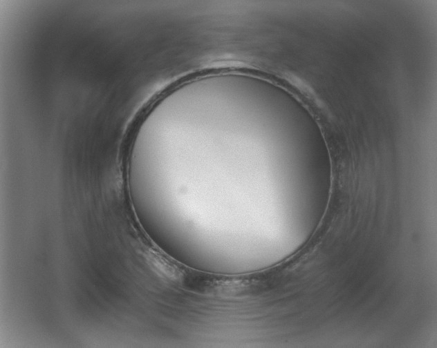 X0000068261167200604241224