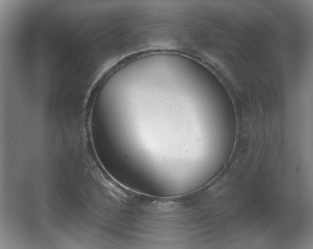 X0000068261168200604241224