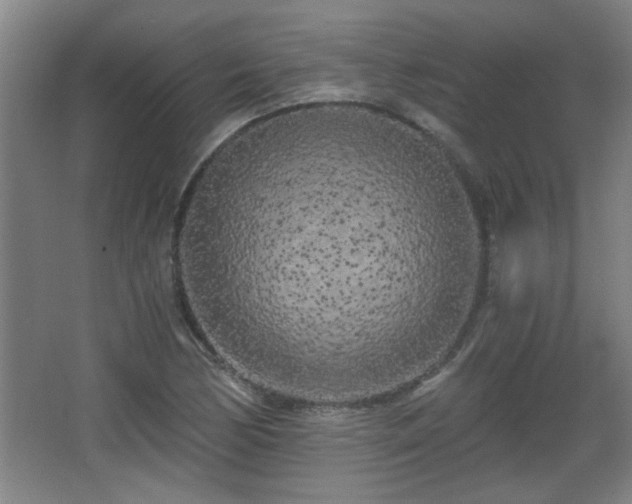 X0000068261170200604241224