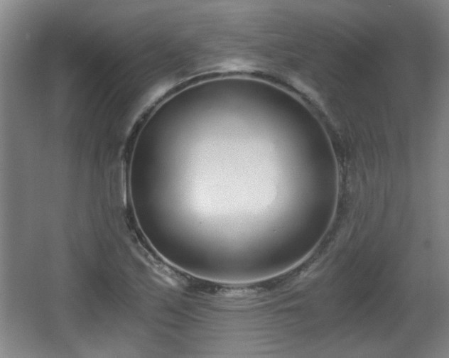 X0000068261171200604241224