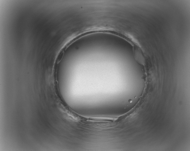 X0000068261173200604241224