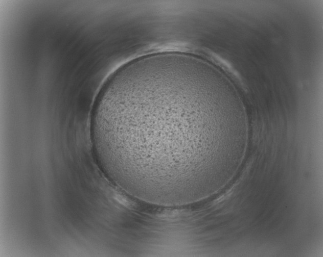 X0000068261174200604241224