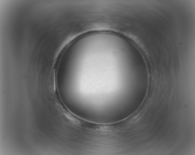 X0000068261175200604241224