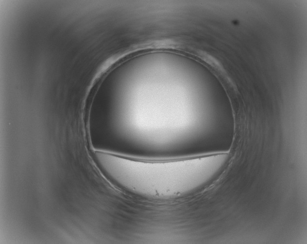 X0000068261176200604241224