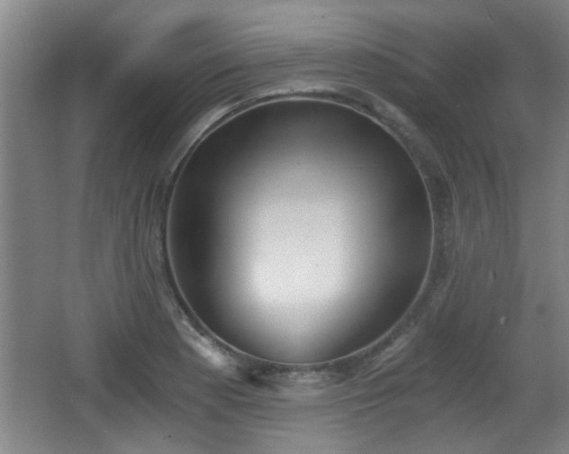 X0000068261177200604241224