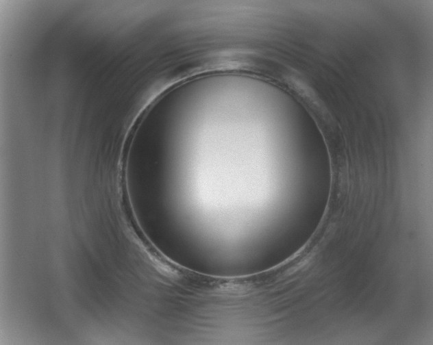 X0000068261178200604241224