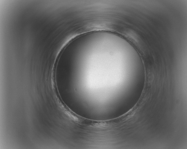 X0000068261182200604241224