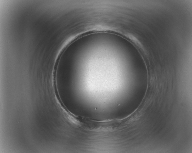 X0000068261183200604241224