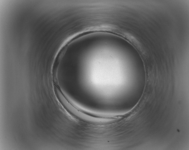 X0000068261184200604241224