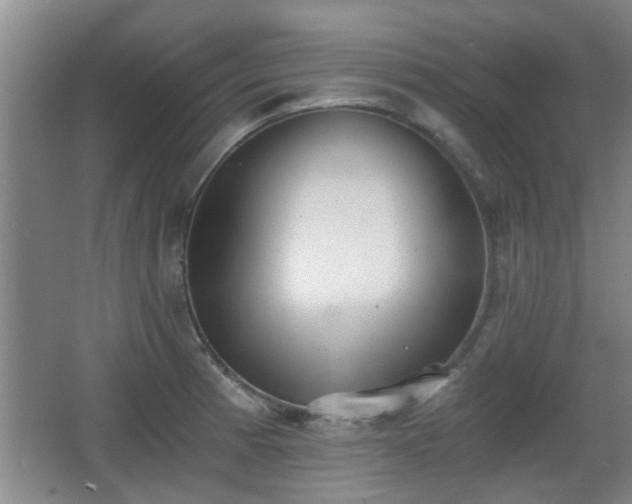 X0000068261185200604241224