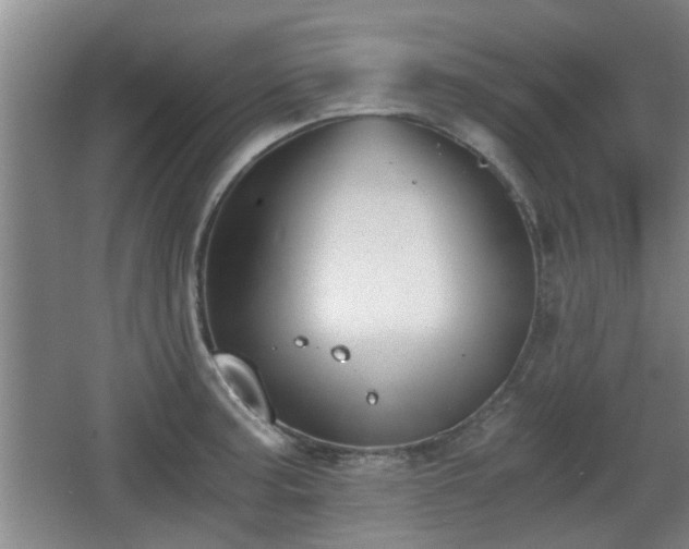 X0000068261187200604241224