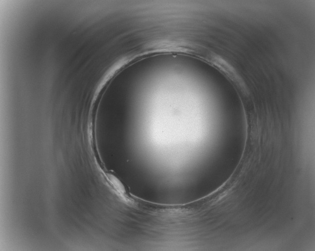 X0000068261188200604241224