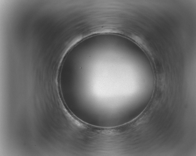 X0000068261189200604241224