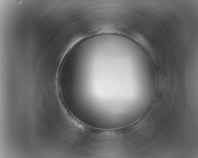 X0000068261190200604241224