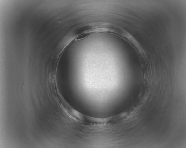 X0000068261193200604241223