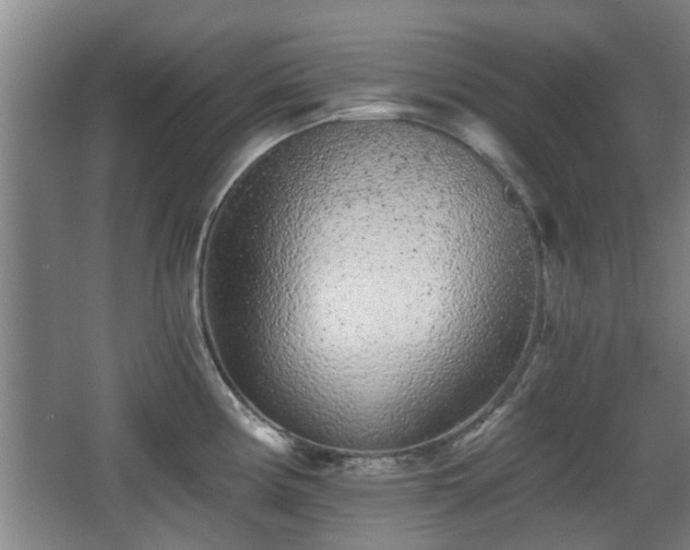 X0000068261194200604241223