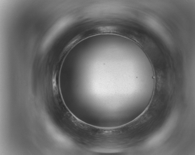 X0000068261198200604241223