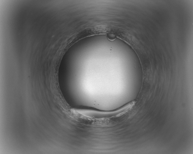 X0000068261201200604241223