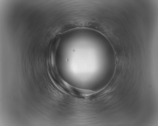 X0000068261202200604241223