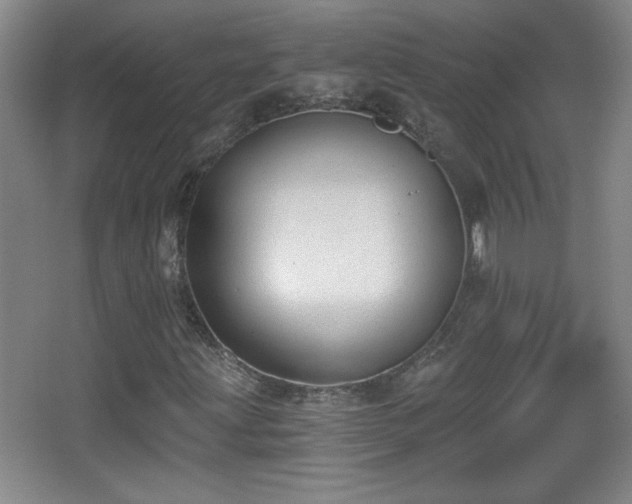 X0000068261203200604241223