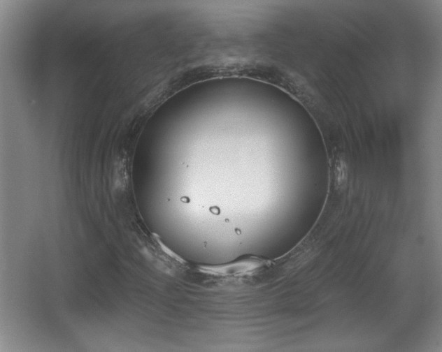 X0000068261204200604241223