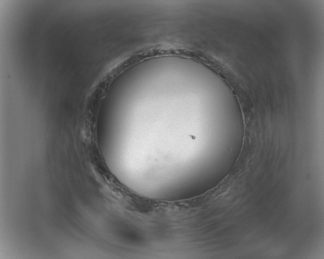 X0000068261207200604241223