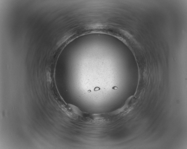 X0000068261209200604241223