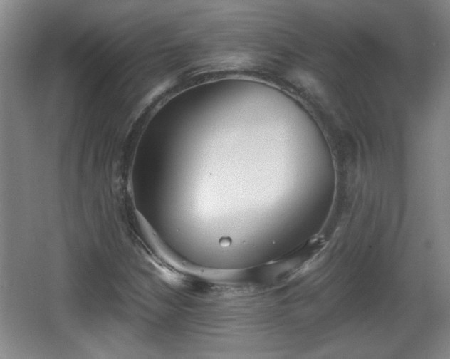 X0000068261210200604241223