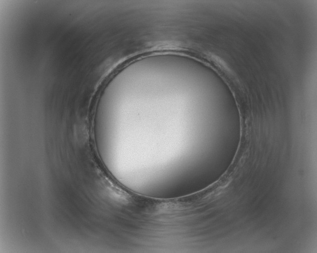 X0000068261212200604241223