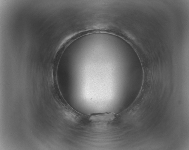 X0000068261214200604241223