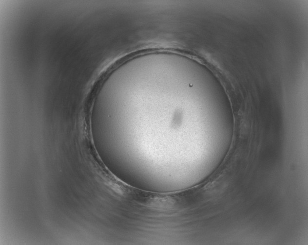 X0000068261215200604241223