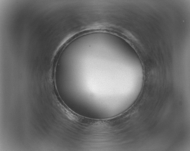 X0000068261216200604241223