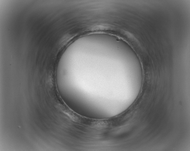 X0000068261217200604241223