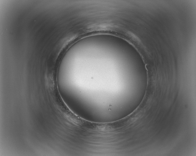 X0000068261218200604241223