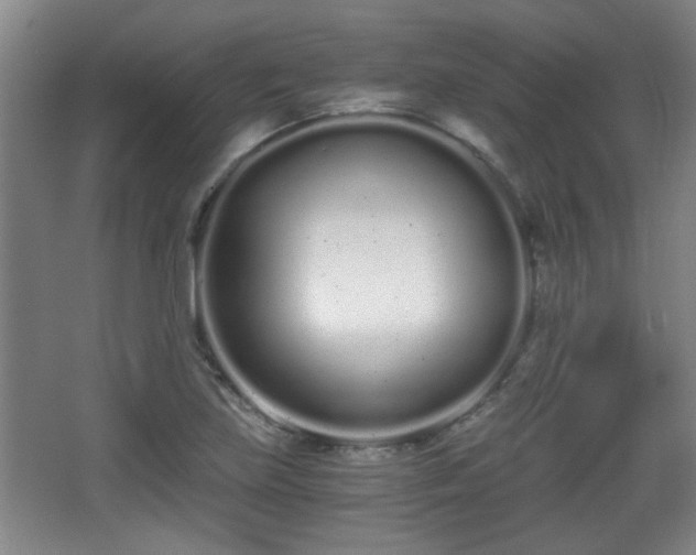 X0000068261219200604241223