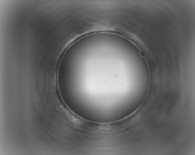 X0000068261220200604241223