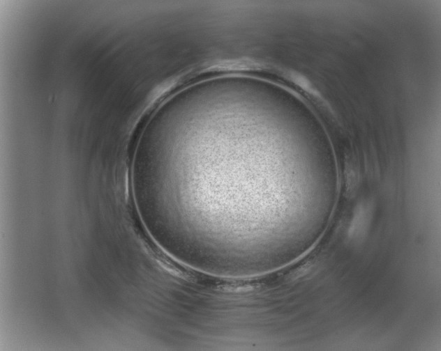 X0000068261221200604241223