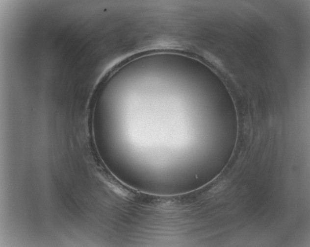 X0000068261222200604241223