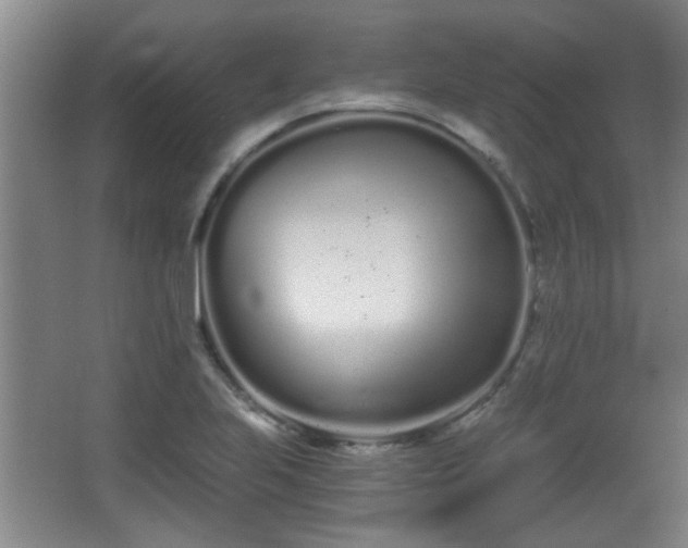 X0000068261223200604241223