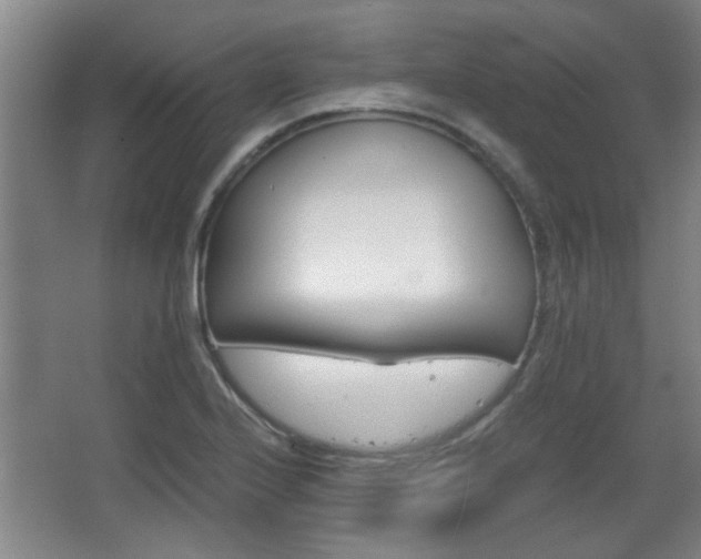 X0000068261224200604241223