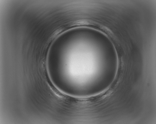 X0000068261225200604241223